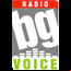Онлайн Радио BG Voice - Хит-микс стрийм от Чикаго